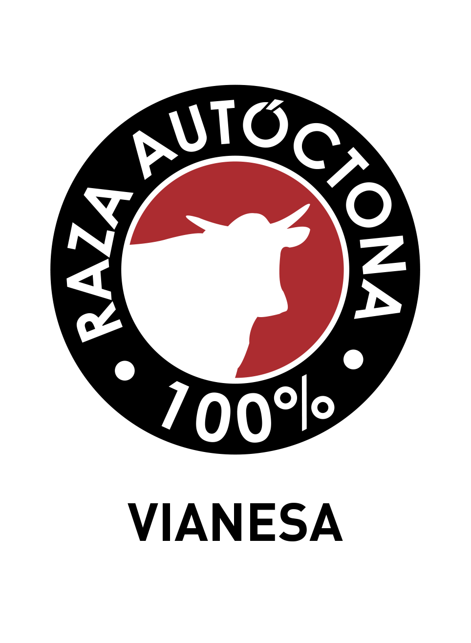 Logo vianesa bb